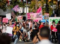 Fans in support of Free Britney movement