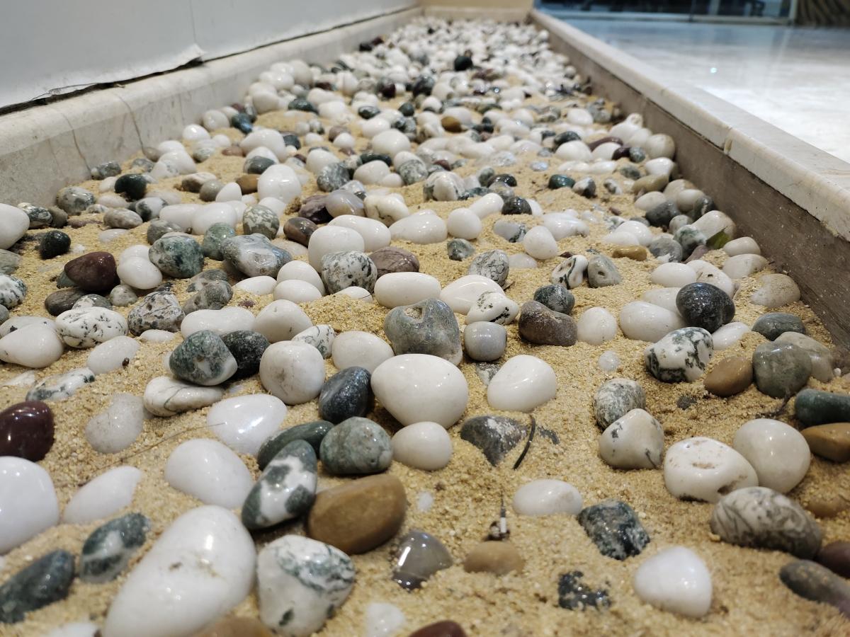 iQoo Z5 camera sample