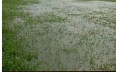 Rain creates havoc