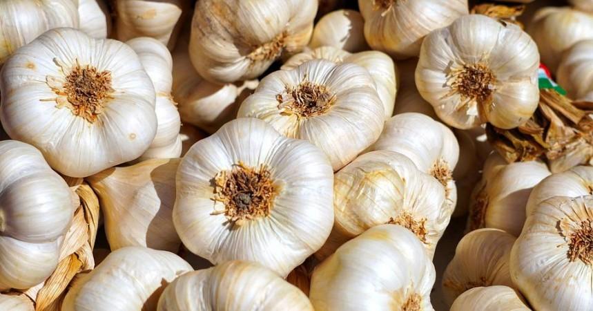 Garlic (Representational Picture) Garlic