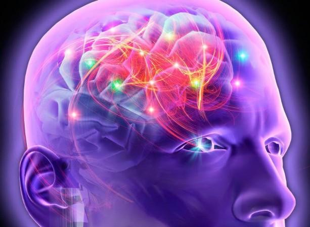 New AI algorithm can detect brain abnormality, help cure epilepsy ...