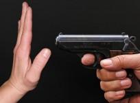 Gun