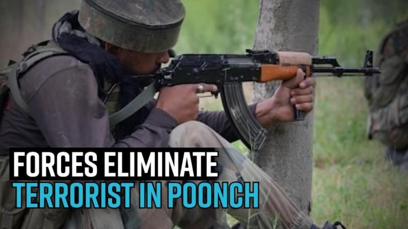 Forces eliminate terrorist in Poonch; encounter erupts after lull of two months