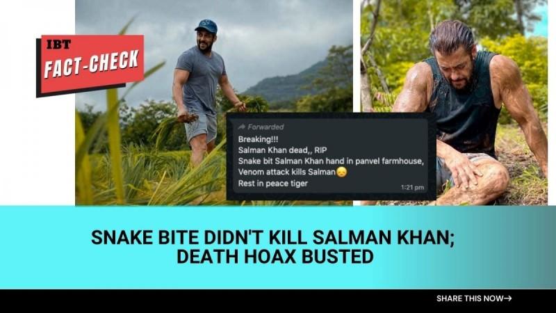 Fact check: Salman Khan bit by snake, not dead; actor is alive and well [truth here]
