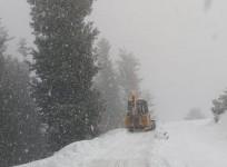 snowfall