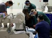 medical staff