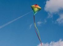 Woman dies after kite string slits her throat in MP
