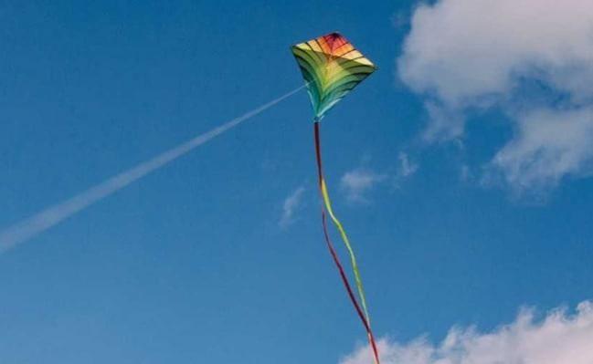 Woman dies after kite string slits her throat in MP