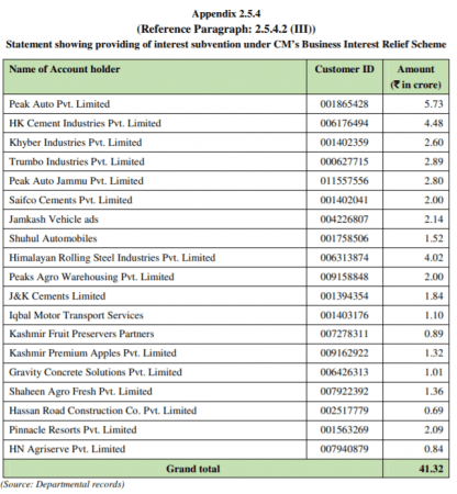 CAG report