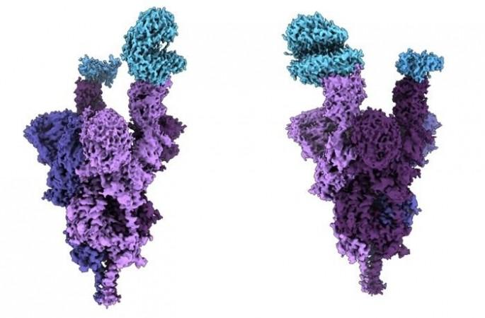 Indian-origin scientist unveils 1st molecular structure of Omicron