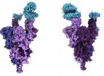 Indian-origin scientist unveils 1st molecular structure of Omicron