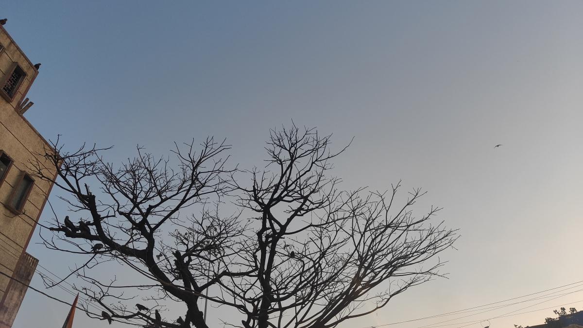 OnePlus 9RT camera sample