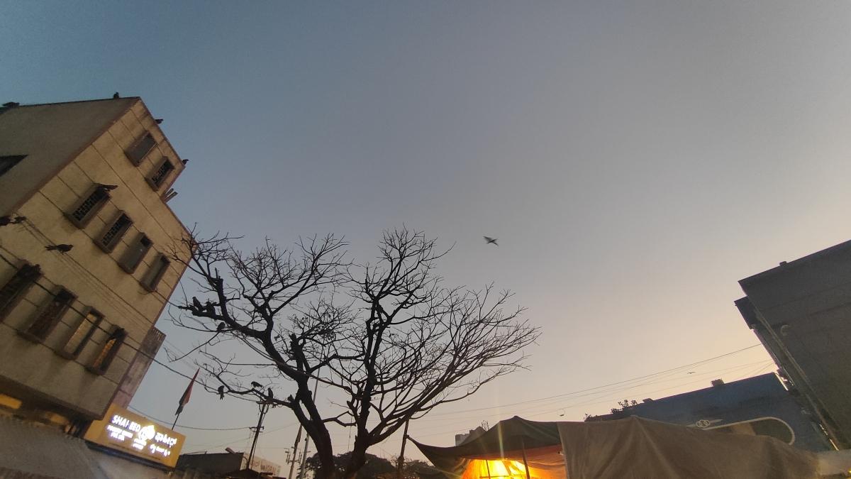 OnePlus 9RT camera sample