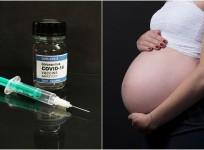 Covid vaccine impact on fertilization