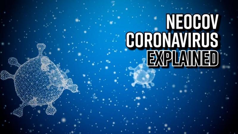 NeoCov coronavirus explained: 1 in 3 will die if infected with this virus
