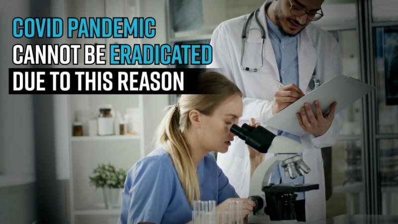 Covid pandemic cannot be eradicated due to this reason, expert suggests crucial clues