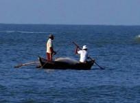 Sri Lankan Navy arrests 16 Indian fishermen