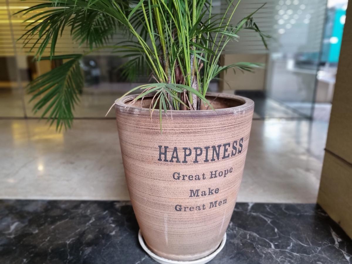 Samsung Galaxy S21 FE camera sample Samsung Galaxy S21 FE camera sample