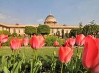 Mughal Gardens to open from Feb 12; entry through online booking only