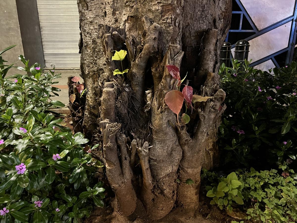 iPhone 13 Pro camera sample