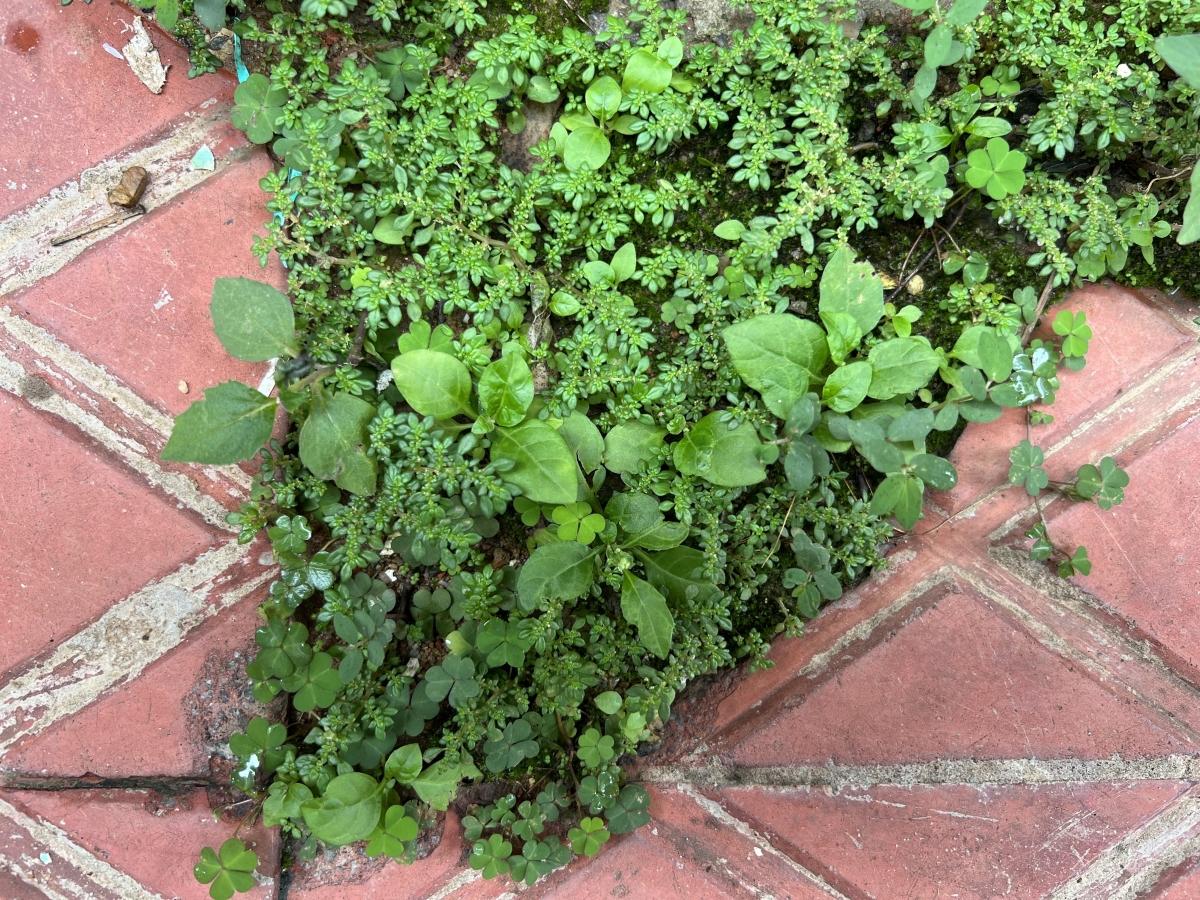 iPhone 13 Pro camera sample