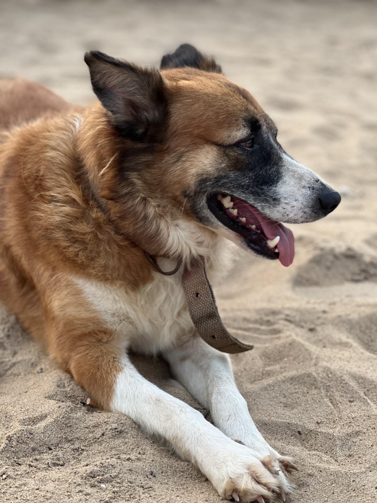 iPhone 13 Pro camera sample