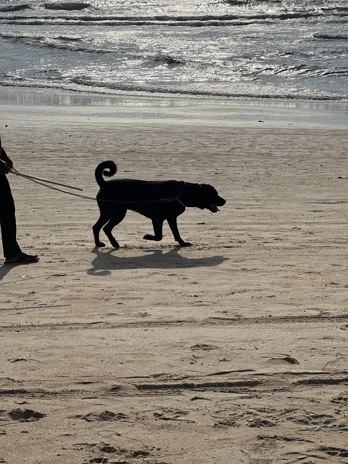 iPhone 13 Pro camera sample