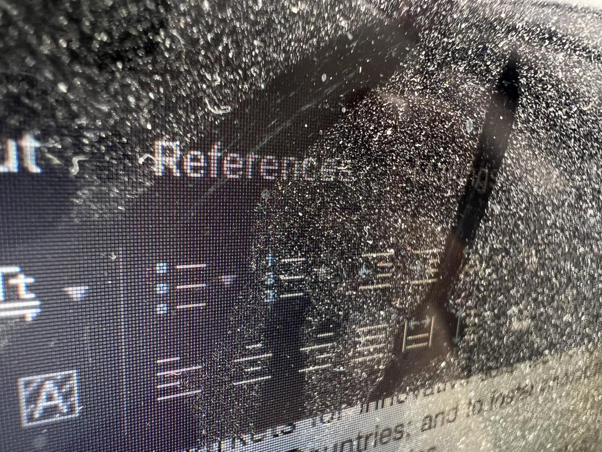 iPhone 13 Pro camera sample