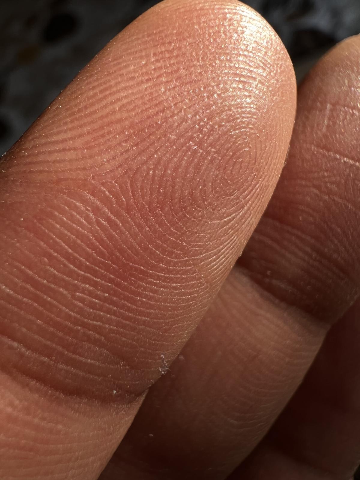 iPhone 13 Pro camera sample