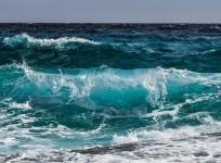 Sea levels to rise 10-12 inches by 2050, rate alarming: Report