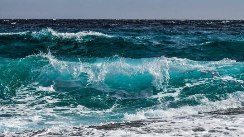 Sea levels to rise 10-12 inches by 2050, rate alarming: Report