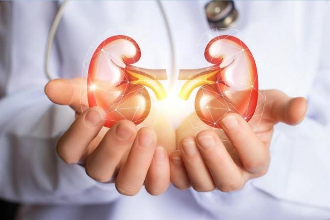 After renal transplant, Chennai man has 5 kidneys in his body