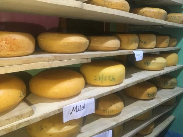Today, Zandee wants to tap several other unique produce of the valley, for instance parsimmons and blackberrys Chris Zandee