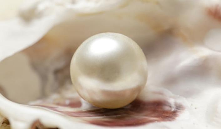 pearl.(photo:pixabay.com) pearl.(photo:pixabay.com)