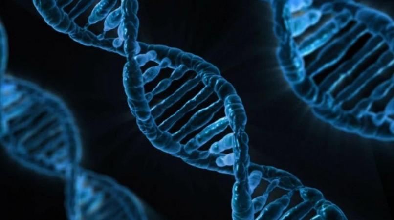 DNA (Representational Picture) DNA