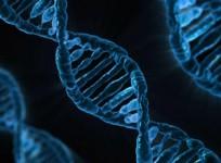 DNA