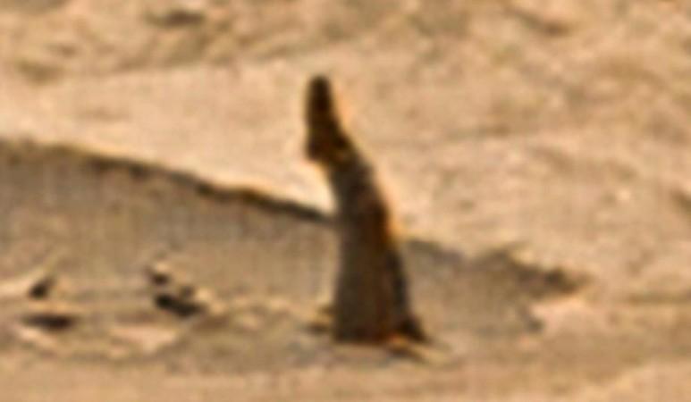 leg on Mars