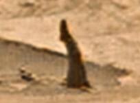 leg on Mars
