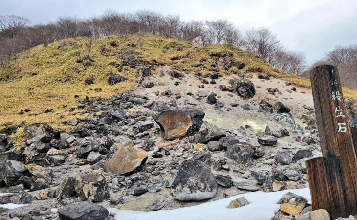 Japan's killing stone