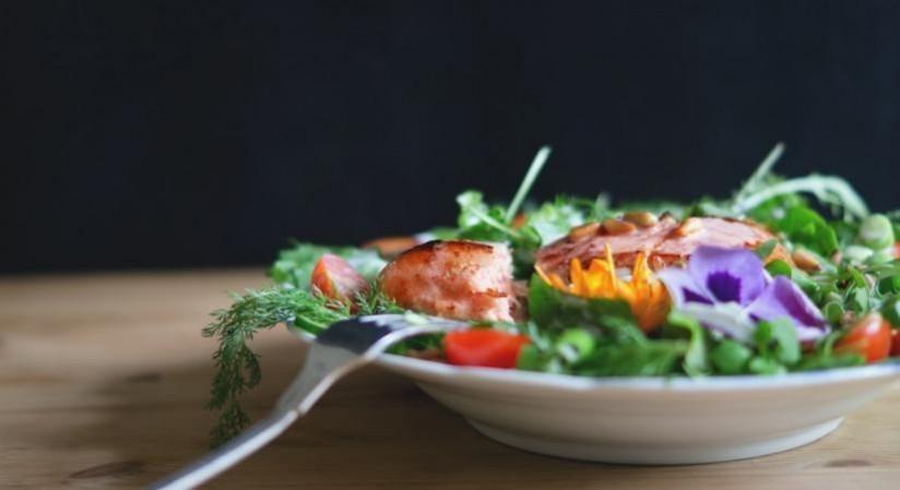 Increase protein intake to stay healthy