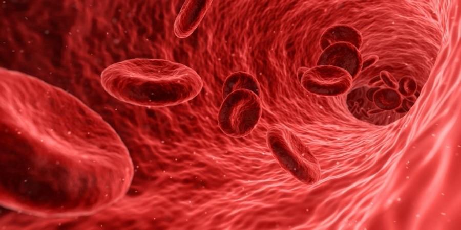 Red blood cells. Red blood cells.