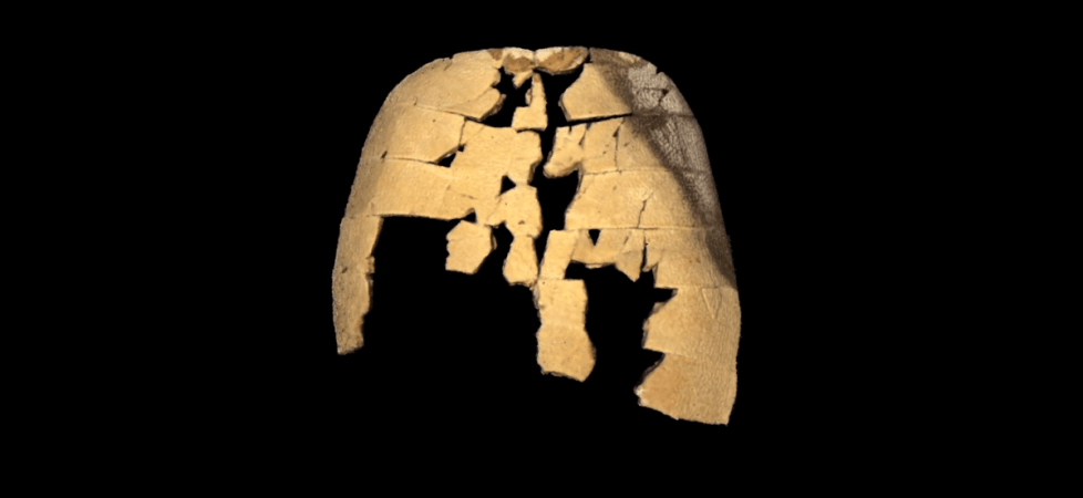 A 3D image of the partial carapace of Hutchemys walkerorum Shell