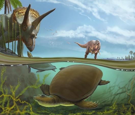 An imagined scene from the end of the Cretaceous Period, more than 66 million years ago, has the newly identified softshell turtle Hutchemys walkerorum dwelling alongside iconic species from the Age of the Dinosaurs. Turtle