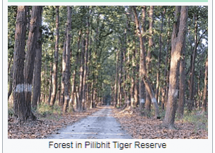 Pilibhit Tiger Reserve --Wikipedia Pilibhit Tiger Reserve --Wikipedia