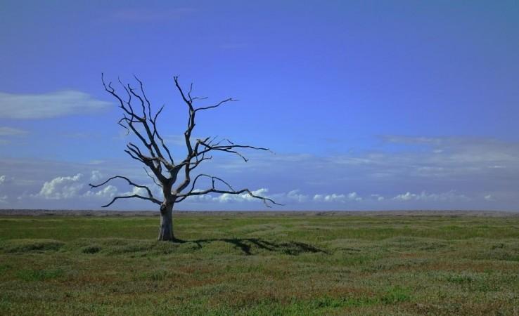 Climate Change Climate Change