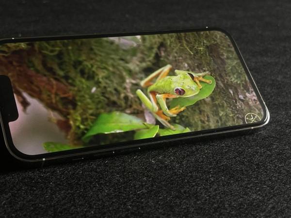 iPhone 13 Pro review iPhone 13 Pro review