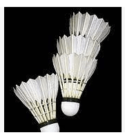 badminton