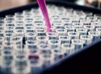The manifold benefits of early detection of cancer