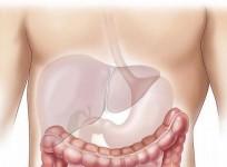A fatty liver can be dangerous to your heart