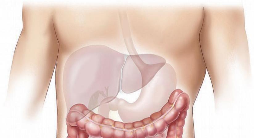 Transplant can restore normal lung function, giving patients an improved life expectancy and higher quality of life A fatty liver can be dangerous to your heart